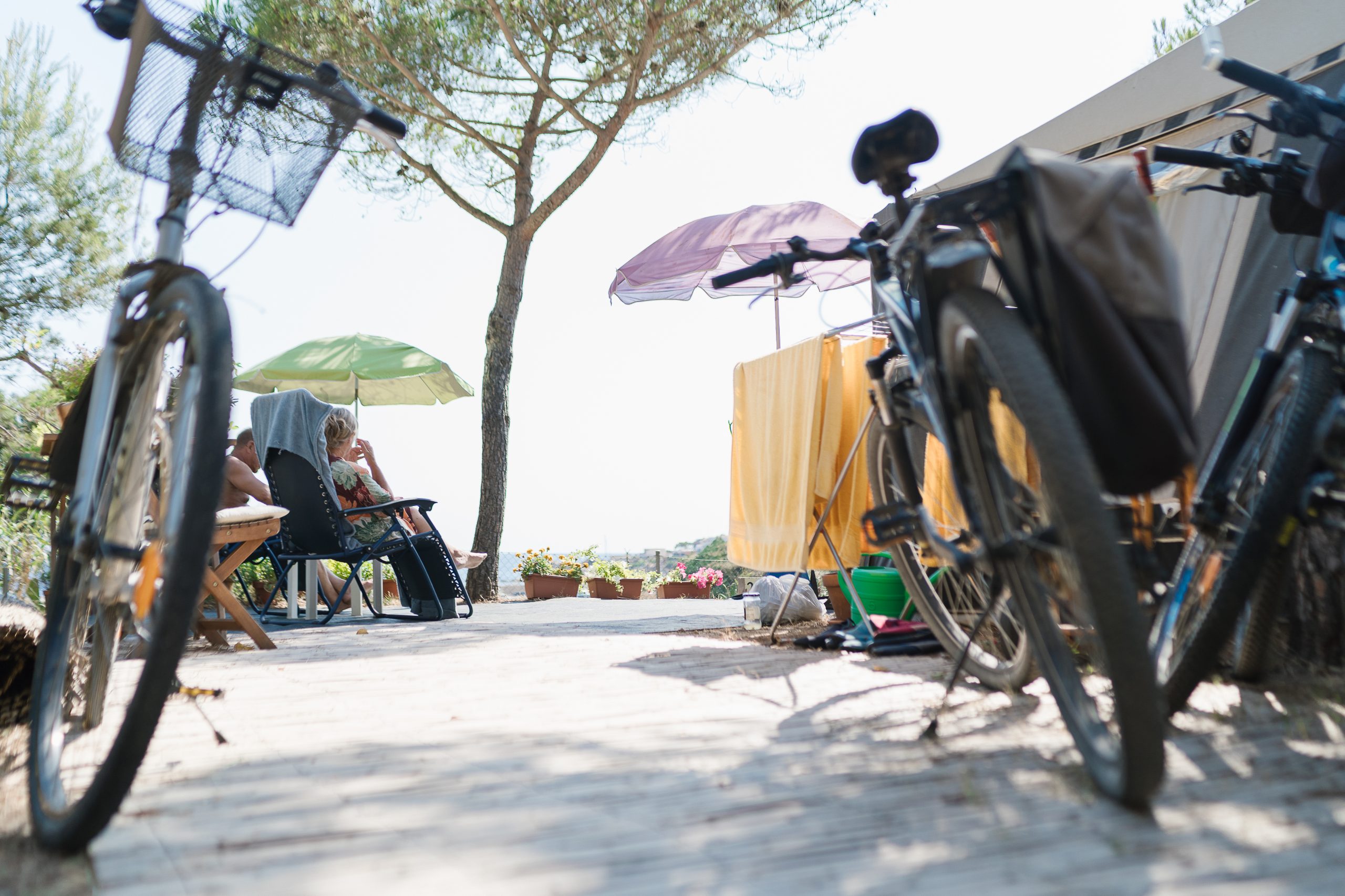 La vida del camping 2021-12