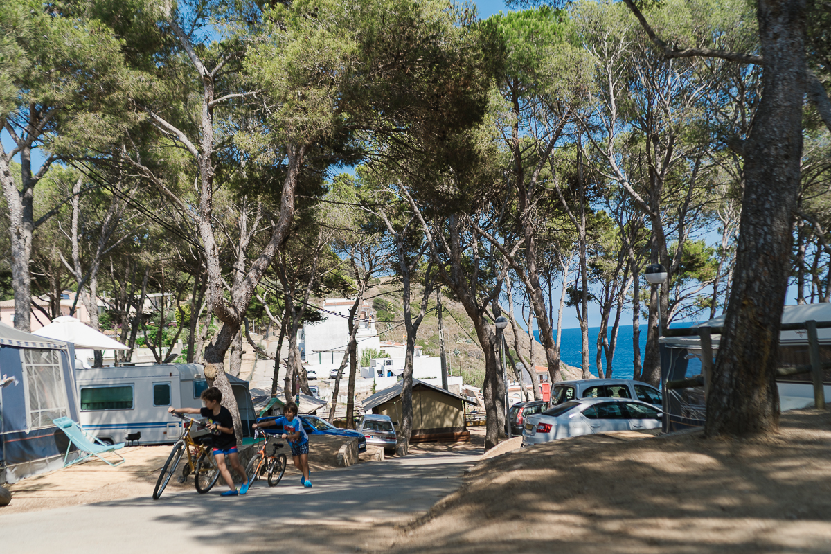 La vida del camping 2021-5