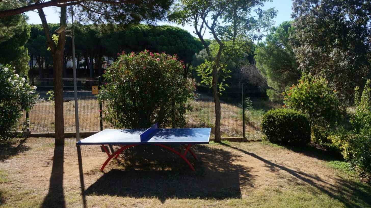 camping-palamos-esports-5.jpg
